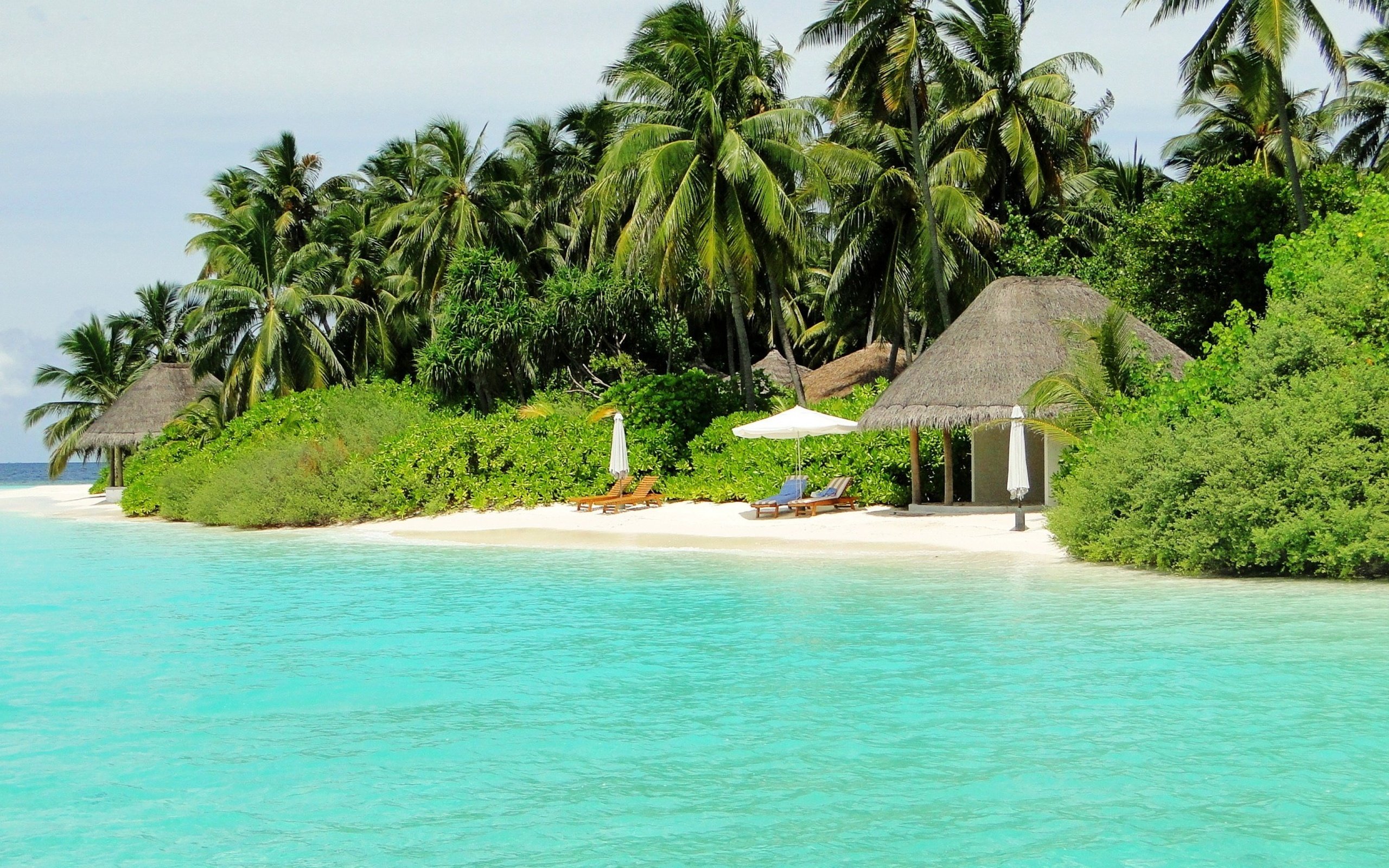 Обои пляж, пальмы, тропики, мальдивы, beach, palm trees, tropics, the maldives разрешение 2880x1800 Загрузить