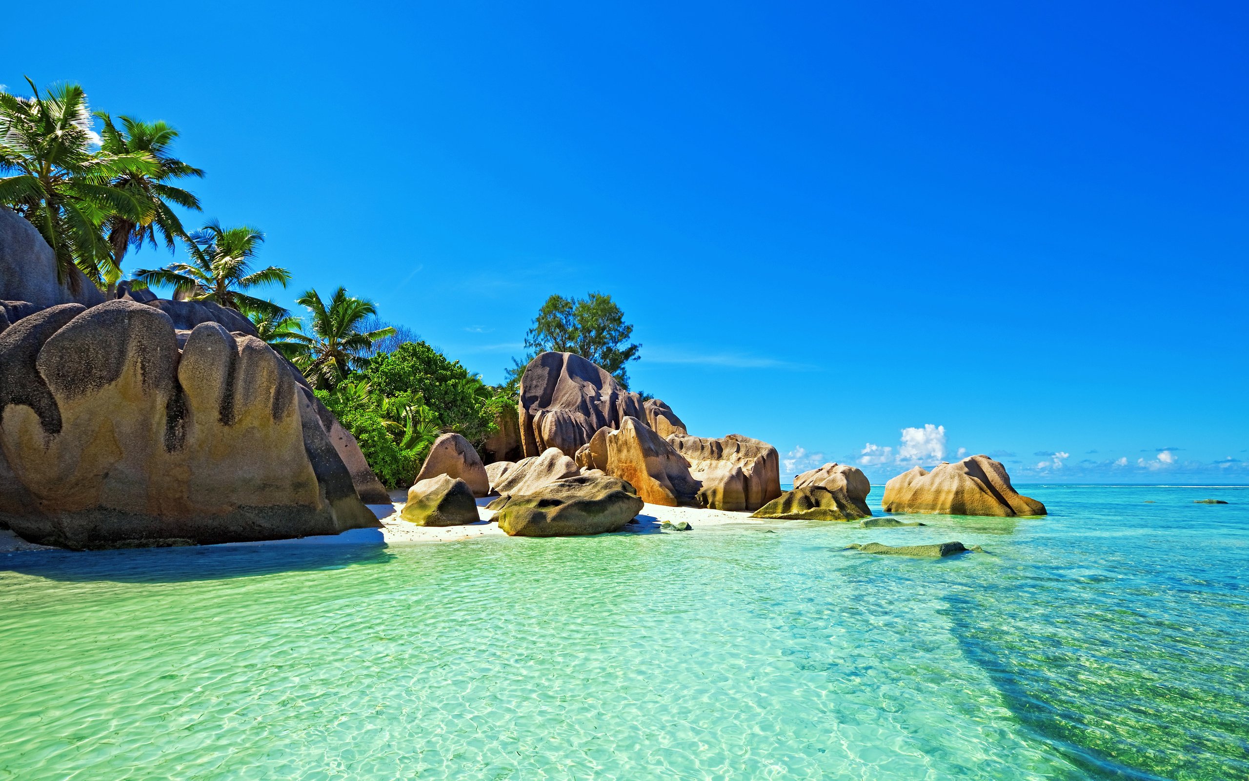 Обои море, пляж, отдых, тропики, сейшелы, sea, beach, stay, tropics, seychelles разрешение 5567x3598 Загрузить