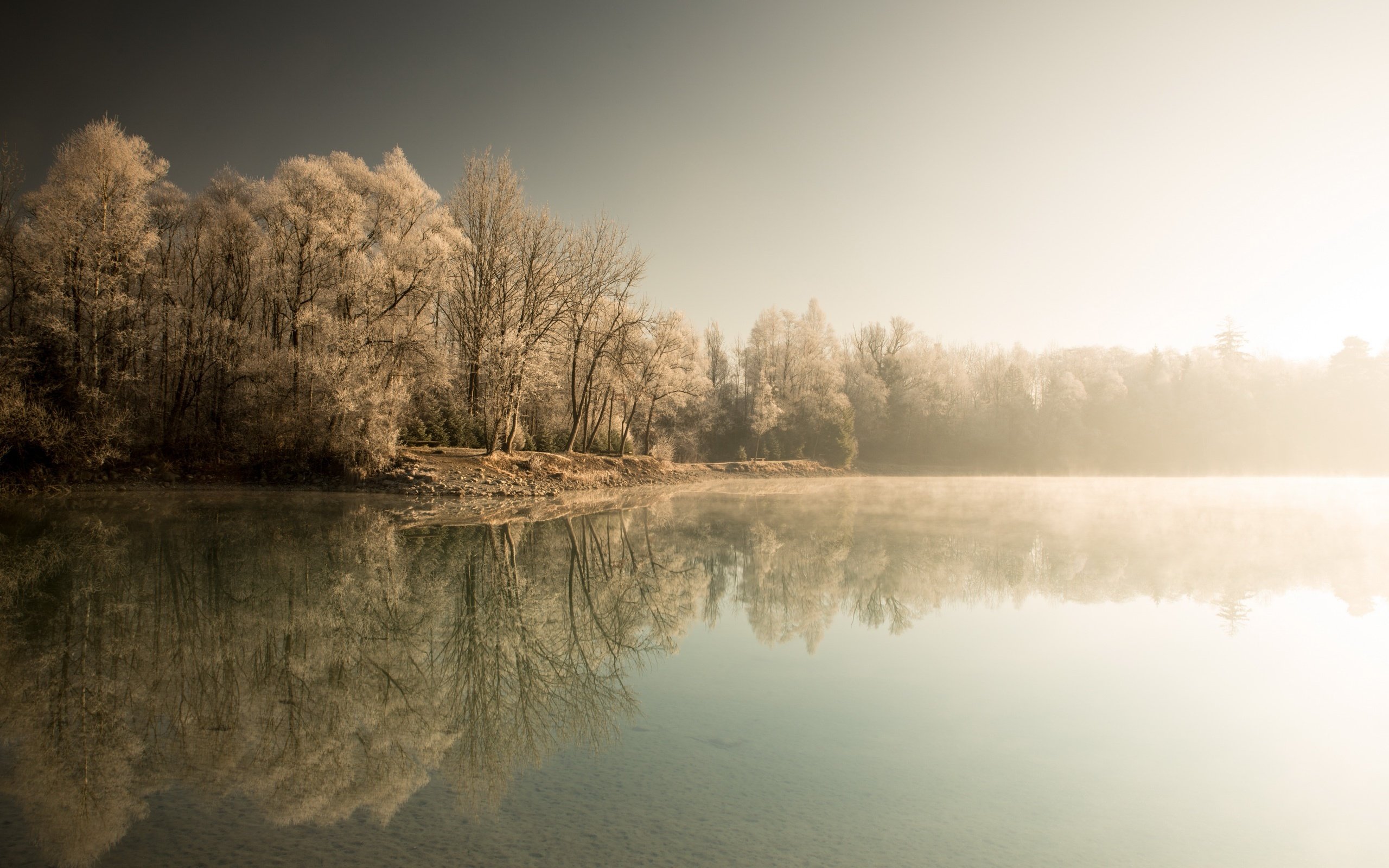 Обои деревья, озеро, лес, зима, туман, trees, lake, forest, winter, fog разрешение 2560x1613 Загрузить