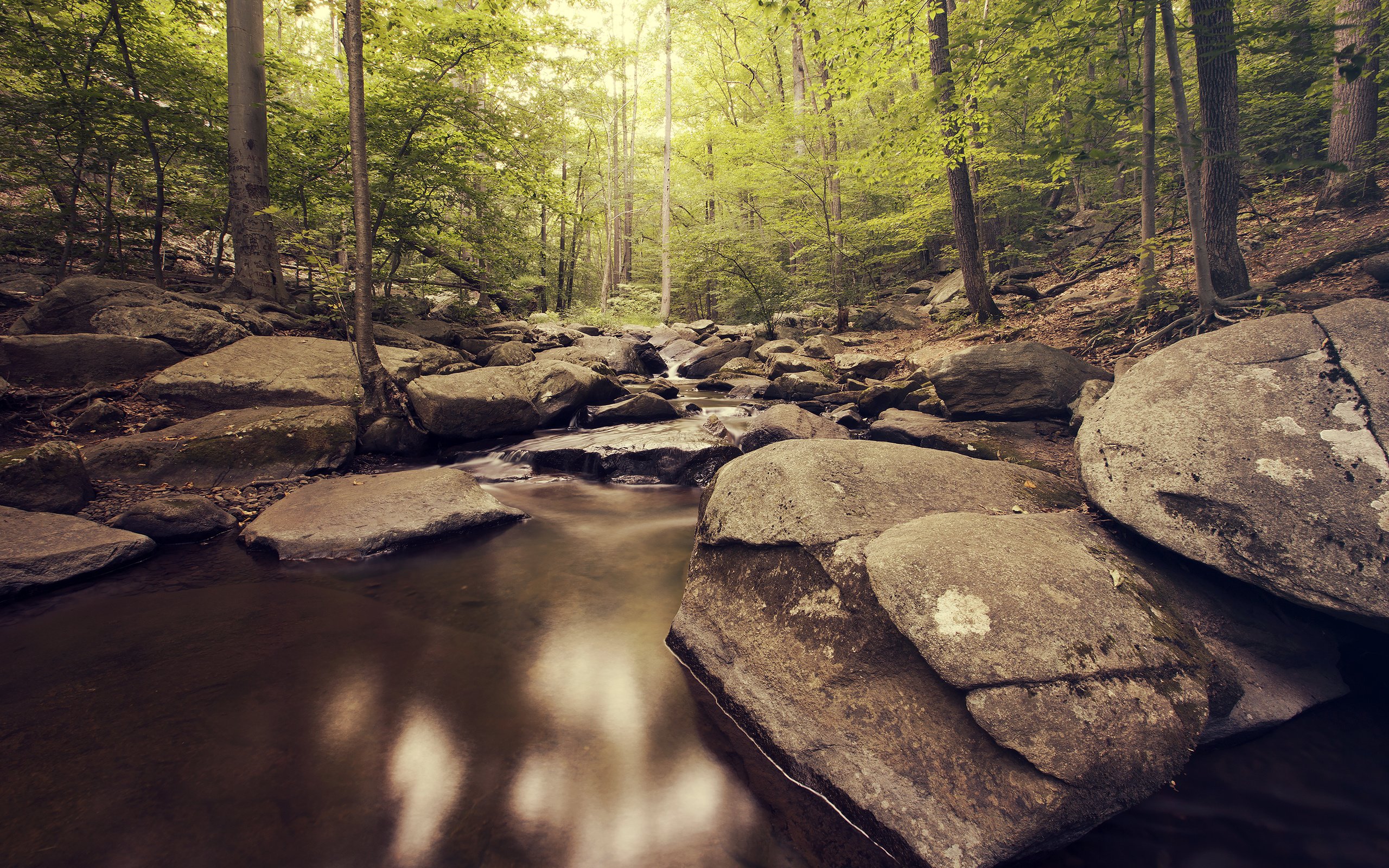 Обои река, природа, камни, лес, river, nature, stones, forest разрешение 2880x1800 Загрузить