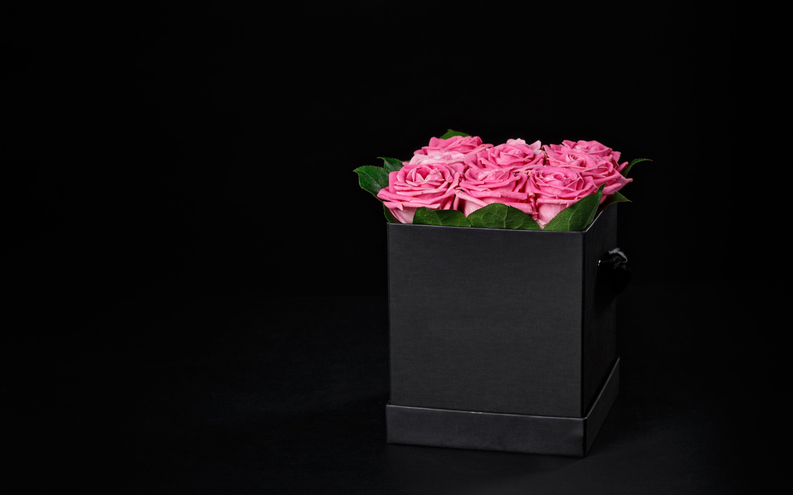 Обои цветы, розы, черный фон, розовые, подарок, коробка, flowers, roses, black background, pink, gift, box разрешение 5472x3648 Загрузить