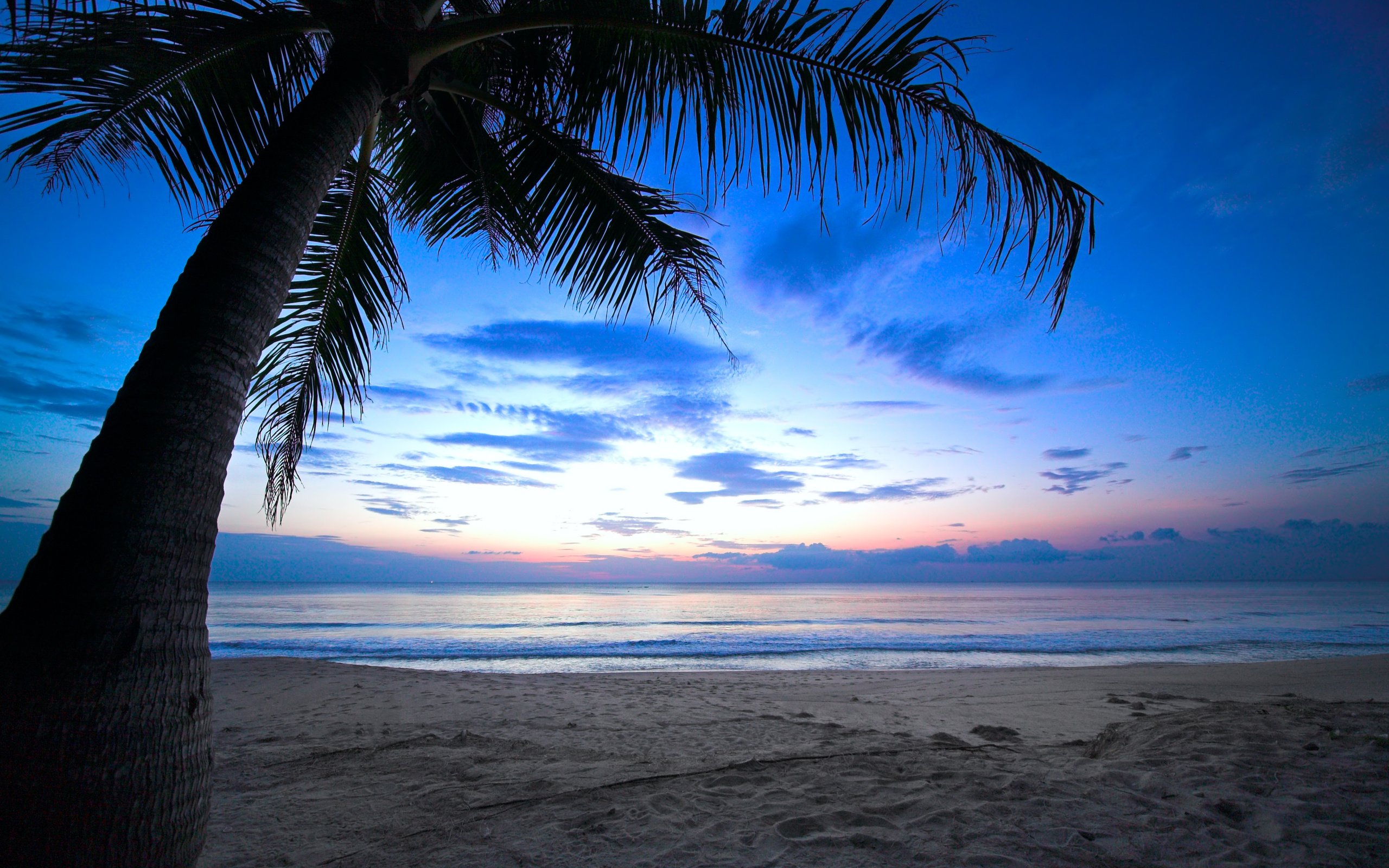 Обои небо, море, песок, пляж, океан, пальма, тропики, пасмурно, the sky, sea, sand, beach, the ocean, palma, tropics, overcast разрешение 8052x5368 Загрузить