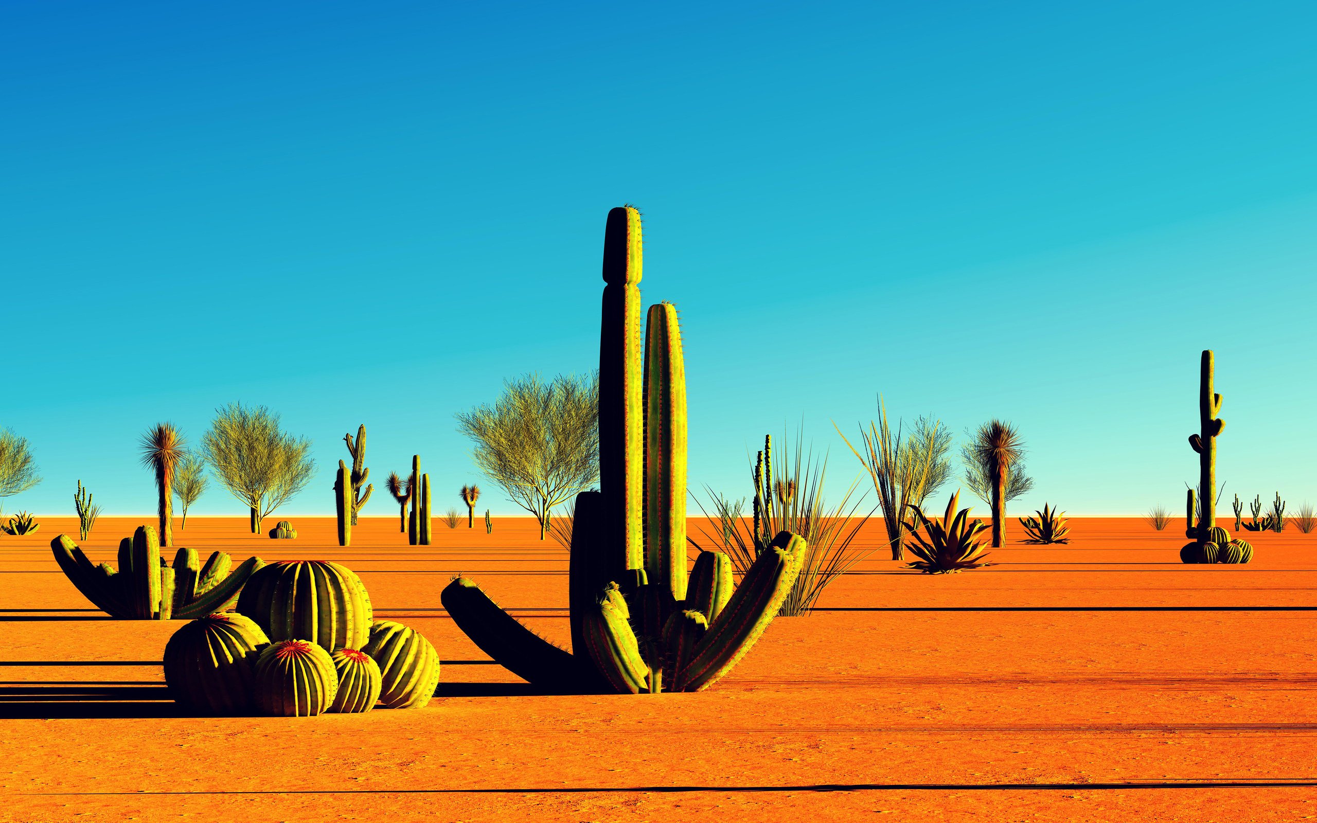 Обои пейзаж, песок, пустыня, калифорния, кактусы, landscape, sand, desert, ca, cacti разрешение 3840x2400 Загрузить