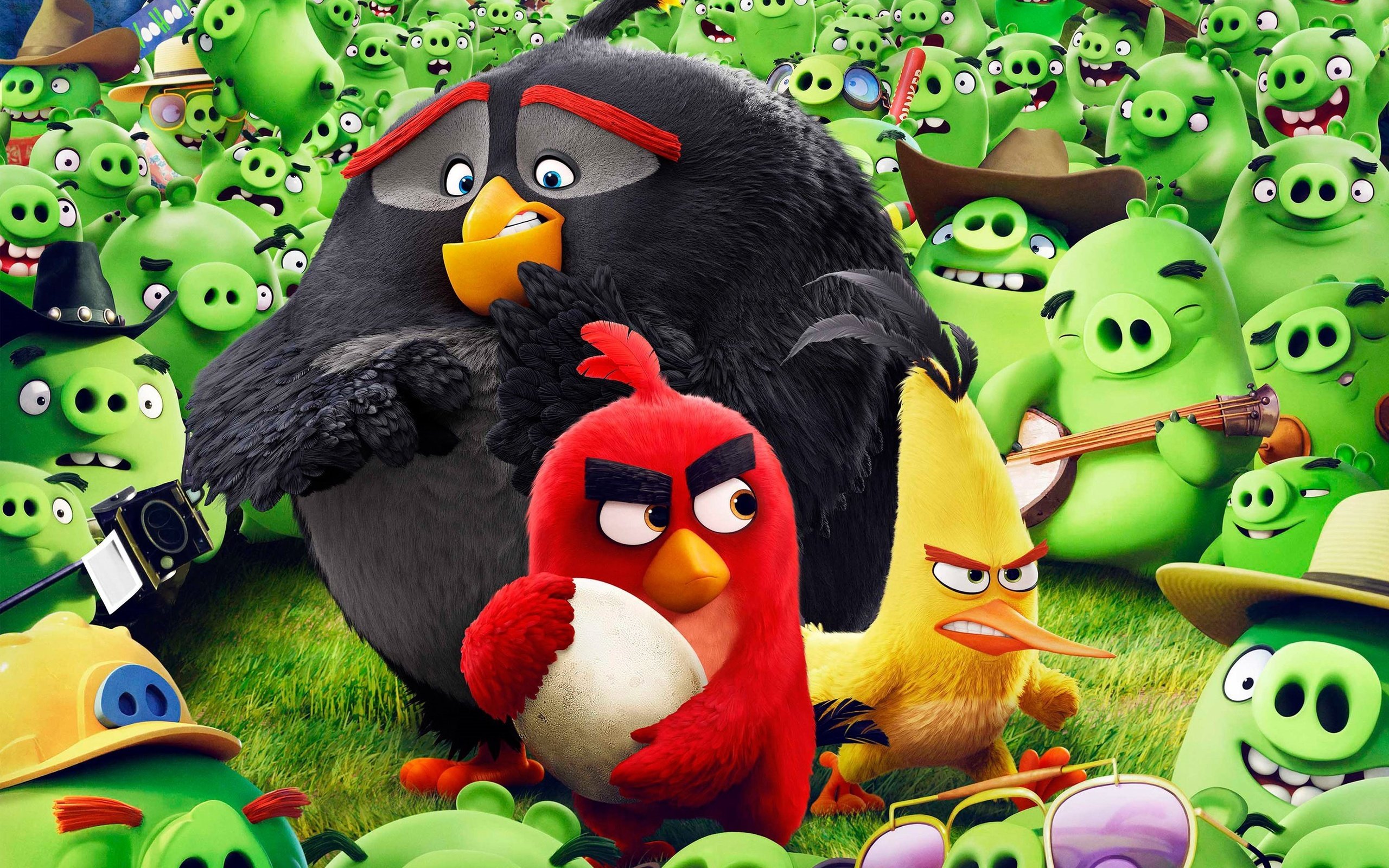 Обои мультфильм, сердитые птицы, cartoon, angry birds разрешение 2880x1800 Загрузить