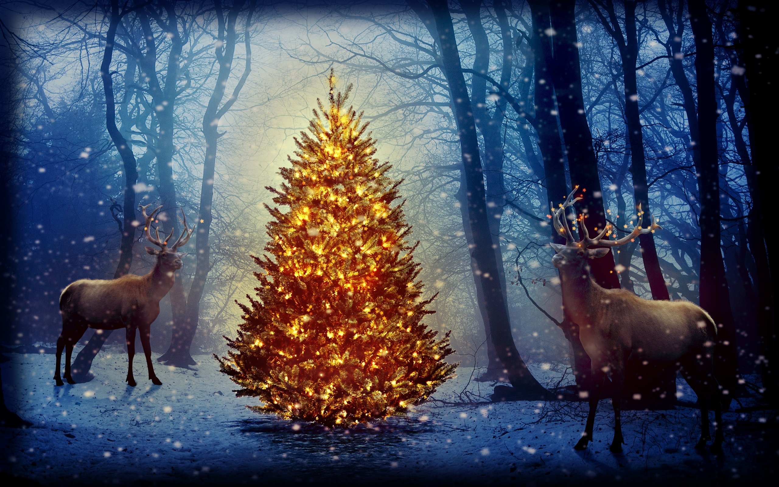 Обои новый год, елка, лес, олени, рождество, new year, tree, forest, deer, christmas разрешение 2880x1800 Загрузить