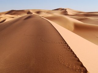 Обои песок, пустыня, следы, sand, desert, traces разрешение 1920x1080 Загрузить