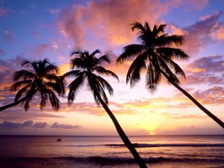 Обои закат, море, пляж, пальмы, sunset, sea, beach, palm trees разрешение 2000x1333 Загрузить