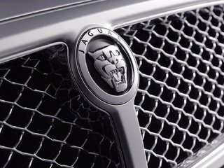 Обои ягуа́р, jaguar разрешение 1920x1080 Загрузить