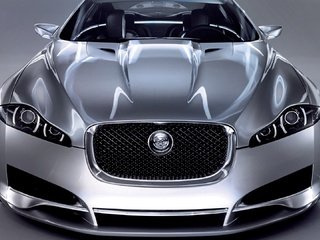 Обои ягуа́р, jaguar разрешение 1920x1080 Загрузить