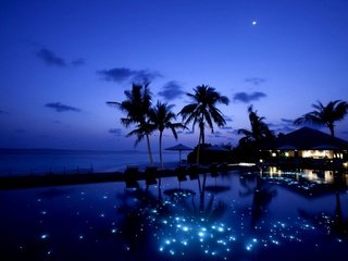 Обои небо, ночь, звезды, пальмы, the sky, night, stars, palm trees разрешение 2000x1334 Загрузить