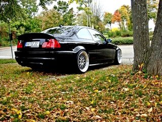 Обои деревья, листья, осень, газон, бмв, trees, leaves, autumn, lawn, bmw разрешение 2000x1500 Загрузить