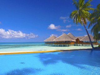 Обои пальмы, бассейн, бунгало, тропики, мальдивы, palm trees, pool, bungalow, tropics, the maldives разрешение 1920x1080 Загрузить