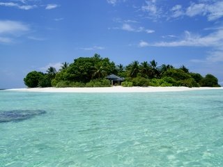 Обои пляж, пальмы, остров, тропики, мальдивы, beach, palm trees, island, tropics, the maldives разрешение 2880x1800 Загрузить