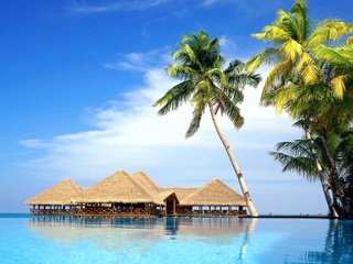 Обои море, пальмы, отдых, бунгало, тропики, sea, palm trees, stay, bungalow, tropics разрешение 2816x2112 Загрузить