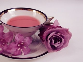 Обои цветы, розы, блюдце, чашка, чай, кепка,  цветы, роз, flowers, roses, saucer, cup, tea, cap разрешение 2560x1600 Загрузить