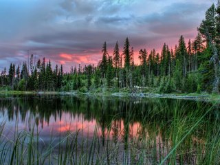 Обои деревья, озеро, закат, пейзаж, канада, провинция альберта, trees, lake, sunset, landscape, canada, alberta разрешение 2560x1600 Загрузить