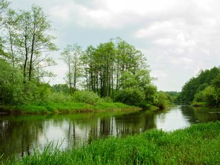 Обои трава, деревья, пейзаж, лето, реки, grass, trees, landscape, summer, river разрешение 1920x1200 Загрузить