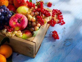 Обои виноград, fruits, красная, абрикосы, фрукты, парное, яблоки, ягоды, лесные ягоды, белая, смородина, ящик, box, grapes, red, apricots, fruit, fresh, apples, berries, white, currants разрешение 2880x1800 Загрузить