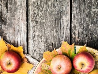 Обои листья, фрукты, яблоки, осень, плоды, leaves, fruit, apples, autumn разрешение 1920x1200 Загрузить