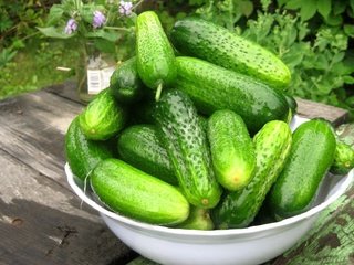 Обои лето, зеленые, урожай, овощи, тарелка, миска, огурцы, огуррцы, summer, green, harvest, vegetables, plate, bowl, cucumbers, ogurtsy разрешение 1920x1161 Загрузить