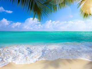 Обои берег, море, песок, пляж, пальмы, shore, sea, sand, beach, palm trees разрешение 6000x4000 Загрузить