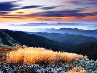 Обои небо, панорама, облака, долина, деревья, higlands, green decline, красивейший, горы, лес, туман, вид, горизонт, the sky, panorama, clouds, valley, trees, beautiful, mountains, forest, fog, view, horizon разрешение 7736x5551 Загрузить