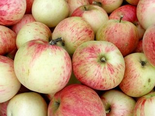 Обои фрукты, яблоки, плоды, fruit, apples разрешение 2400x1562 Загрузить