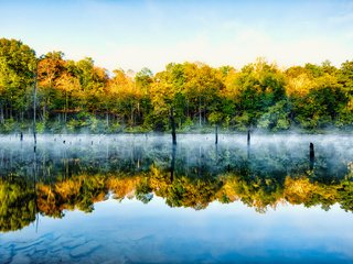 Обои деревья, озеро, природа, отражение, туман, trees, lake, nature, reflection, fog разрешение 2048x1365 Загрузить