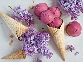 Обои мороженое, сирень, вафли, ice cream, lilac, waffles разрешение 2000x1419 Загрузить