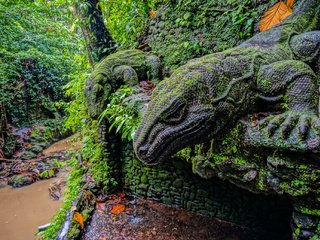 Обои река, обезьяний лес, лес, статуи, заповедник, индонезия, бали, ubud monkey forest, statue of a komodo dragon, убуд, river, monkey forest, forest, statues, reserve, indonesia, bali, ubud разрешение 2048x1361 Загрузить