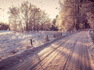 Обои дорога, снег, зима, road, snow, winter разрешение 1920x1200 Загрузить