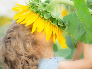 Обои цветы, природа, дети, подсолнух, девочка, flowers, nature, children, sunflower, girl разрешение 1920x1707 Загрузить