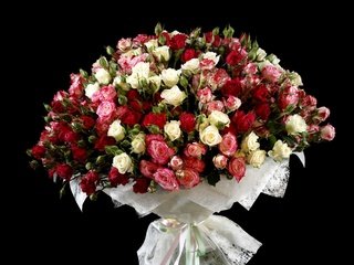 Обои цветы, розы, красота, черный фон, букет, flowers, roses, beauty, black background, bouquet разрешение 2560x1707 Загрузить