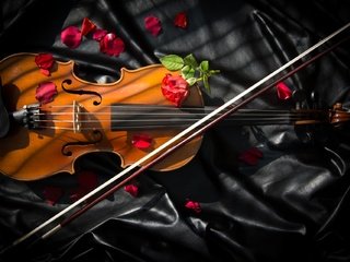 Обои розы, скрипка, смычок, roses, violin, bow разрешение 1980x1280 Загрузить