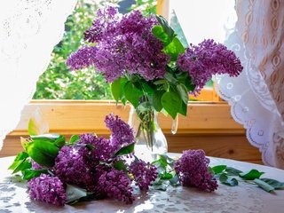 Обои букет, окно, сирень, bouquet, window, lilac разрешение 2500x1740 Загрузить