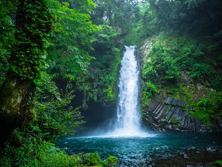 Обои природа, лес, водопад, япония, nature, forest, waterfall, japan разрешение 3840x2400 Загрузить