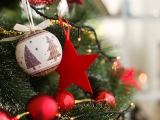 Обои новый год, елка, шары, рождество, xmas, декорация, счастливого рождества, holiday celebration, new year, tree, balls, christmas, decoration, merry christmas разрешение 5472x3648 Загрузить