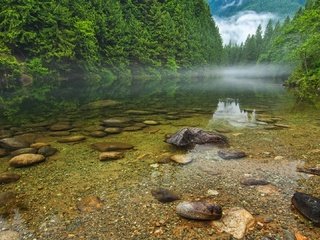 Обои деревья, вода, река, природа, камни, пейзаж, trees, water, river, nature, stones, landscape разрешение 1920x1080 Загрузить