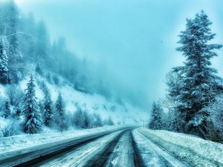 Обои дорога, деревья, снег, зима, туман, road, trees, snow, winter, fog разрешение 2047x1342 Загрузить