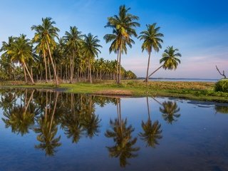 Обои небо, отражение, пейзаж, море, пальмы, пальма, the sky, reflection, landscape, sea, palm trees, palma разрешение 2048x1297 Загрузить