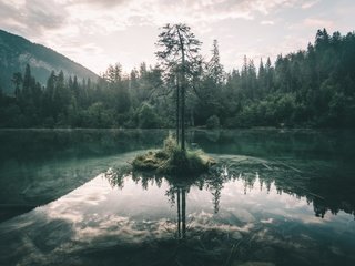 Обои небо, озеро, дерево, лес, отражение, ветки, the sky, lake, tree, forest, reflection, branches разрешение 2048x1365 Загрузить