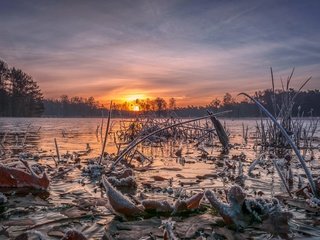 Обои небо, деревья, озеро, солнце, закат, иней, the sky, trees, lake, the sun, sunset, frost разрешение 2048x1238 Загрузить