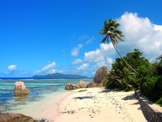 Обои море, пляж, пальмы, отдых, остров, тропики, сейшелы, sea, beach, palm trees, stay, island, tropics, seychelles разрешение 2000x1435 Загрузить