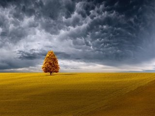 Обои небо, облака, пейзаж, поле, the sky, clouds, landscape, field разрешение 1920x1080 Загрузить