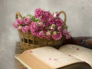 Обои цветы, розы, лепестки, букет, корзина, книга, и книга, flowers, roses, petals, bouquet, basket, book, and the book разрешение 2048x1417 Загрузить