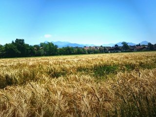 Обои небо, природа, пейзаж, поле, горизонт, пшеница, the sky, nature, landscape, field, horizon, wheat разрешение 3840x2160 Загрузить