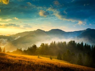 Обои деревья, горы, природа, пейзаж, туман, украина, карпаты, деревmz, trees, mountains, nature, landscape, fog, ukraine, carpathians разрешение 4494x3000 Загрузить