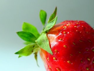 Обои макро, ягода, клубника,  листья, macro, berry, strawberry, leaves разрешение 5472x3648 Загрузить