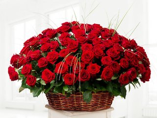 Обои цветы, розы, красные, букет, корзинка, flowers, roses, red, bouquet, basket разрешение 2000x1450 Загрузить