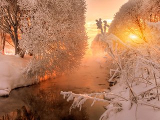 Обои деревья, река, природа, зима, утро, рассвет, иней, trees, river, nature, winter, morning, dawn, frost разрешение 1920x1200 Загрузить